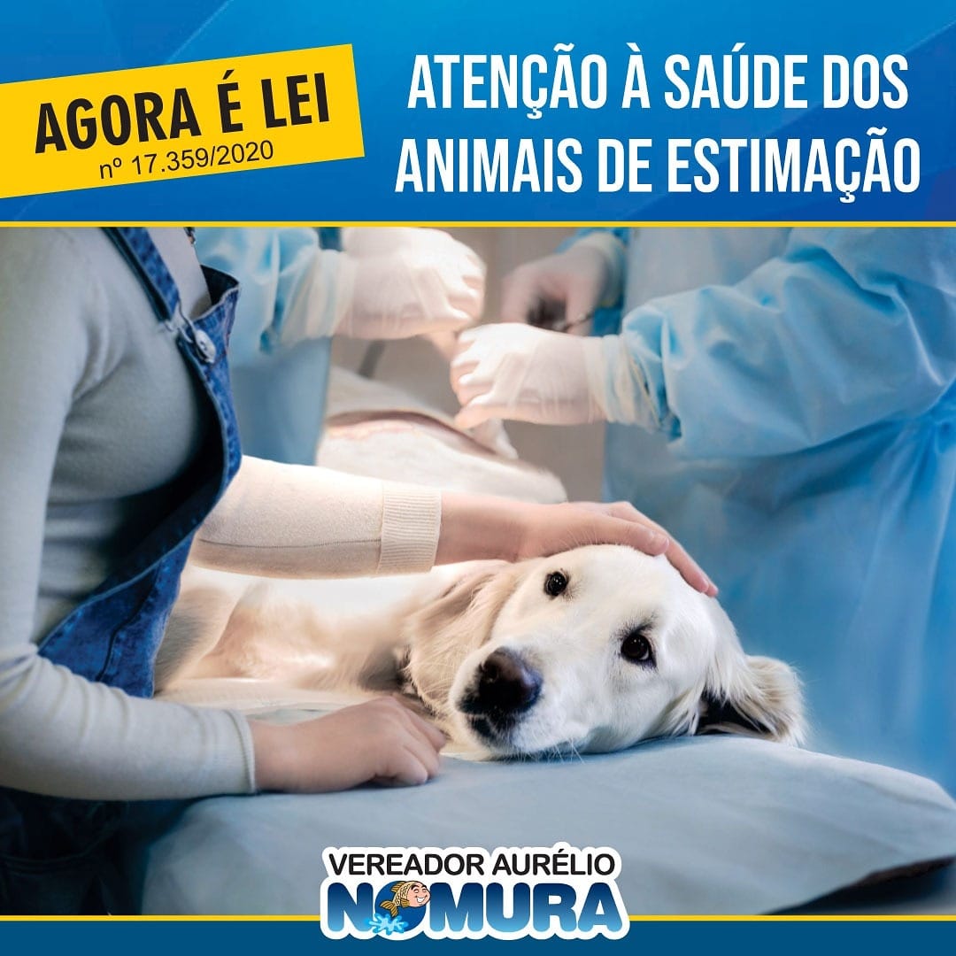 LEI DESTACA IMPORTÂNCIA SOBRE CASTRAÇÃO DOS ANIMAIS DE ESTIMAÇÃO